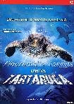 L`incredibile viaggio della Tartaruga
