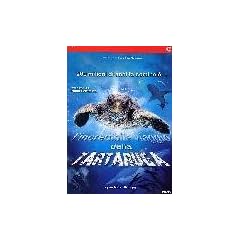 l'incredibile viaggio della tartaruga