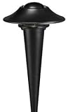 Hinkley Black Trumpet Low Voltage Landscape Light