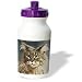maine_coon1maine coon - Cats Maine Coon Water Bottles