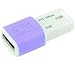Electronics : Kingston 2GB Mini Fun Data Traveler USB Flash Drive (DTM/2GB)