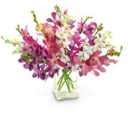 Floral Zesty Orchids with Vase Floral Zesty Orchids with Vase