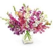 Zesty Orchids with Vase by 