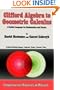 Clifford Algebra to Geometric Calculus: A Unified Language for Mathematics and Physics (Fundamental Theories of Physics)