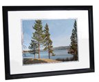 Digital Spectrum 17-Inch Digital Photo Frame (Black)