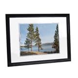 Buy Digital Spectrum MemoryVUE Gallery MV-1700 Plus 17-Inch Digital Picture Frame (Black) 