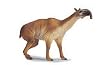 Schleich Macrauchenia