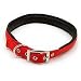 Collar Nylon Double Red