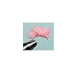 Glo Spawn Flies Color: Pink; Hook Size: 12
