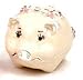 Piearth sA[X WG[{bNX NX^ Δ Aj} NO229 u^ zCg 229-2 WH