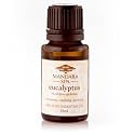 Mandara Spa Essential Oil - Eucalyptus