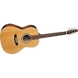 Seagull Coastline S6 Folk Acoustic Guitar