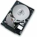 Hitachi 08K2474 Ultrastar 10K300 300GB 80-Pin SCSI 10,000 RPM Internal Hard Drive