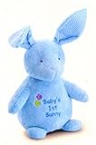 11.5 Babys First Bunny Rattle (Blue)