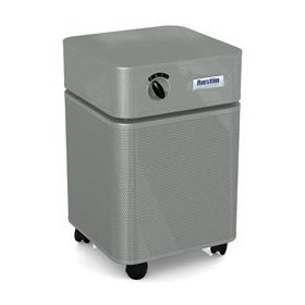 Austin Air HealthMate - Silver