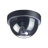 Simulated Dome Style Sureveillance Camera