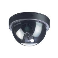 Simulated Dome Style Sureveillance Camera