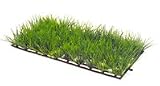 Eigenschaften Hobby Aqua  / Plant Mat 1, 12,5 x 25 cm, SB