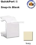 SNAP-IN BLANK COVER (IVORY)