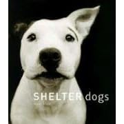 Shelter Dogs by  Traer Scott