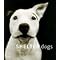 Read a book about dogs.