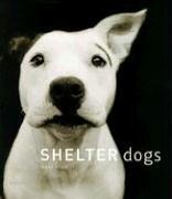 Rescues and Shelters