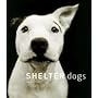Shelter Dogs