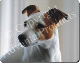 JACK RUSSELL Mouse Mat / Pad