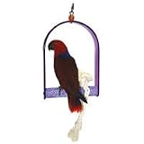Swing with Rope and Acrylic Frame for Large Parrots
