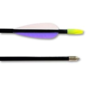 One Dozen 30" Fiberglass Archery Arrows