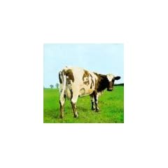 Atom Heart Mother [Musikkassette]