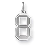 Sterling Silver Medium Satin Number 8 Charm - JewelryWeb
