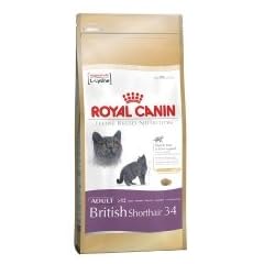 Royal Canin Feline British Shorthair, 1er Pack (1 x 10 kg Beutel) - Katzenfutter