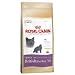 Royal Canin Feline British Shorthair, 1er Pack (1 x 10 kg Beutel) - Katzenfutter