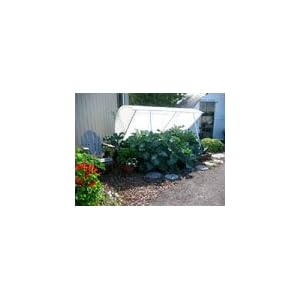 Solexx Deluxe Cold Frame by 
