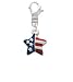 Mini USA Patriotic Star Clip-On Charm