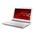Acer Packard Bell Dots C - Ordenador port�til 10.1 pulgadas (atom n2600, 1 GB de RAM, 320 GB, Windows 7 Starter) - Teclado QWERTY espa�ol, color blanco