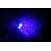 LED flashlights