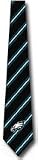 Philadelphia Eagles Woven Necktie Silk Ties