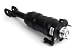 Air Suspension Strut Assembly