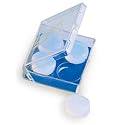 Zoggs - Transparent Silicone Swimming Ear Putty
