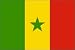 Outdoor Living : Senegal Flag Polyester 3 ft. x 5 ft.