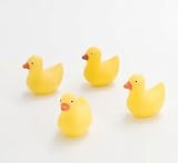 Mini Rubber Ducky Magnets