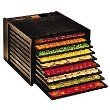 Excalibur 2900 Economy Series 9 Tray Food Dehydrator - Black