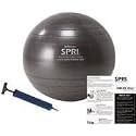 SPRI 65cm Professional Plus Xercise Package: Ball, Pump & Chart