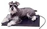 KH Lectro Kennel with Free Fleece Cover, Small