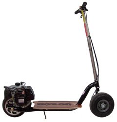 GoPed Cruiser (Black)