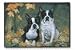 boston terrier - Boston Terrier Doormat2008