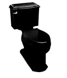 Devonshire Comfort Height Two Piece Elongated Toilet Finish: Black
