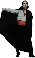 Full Length Black Taffeta Cape
